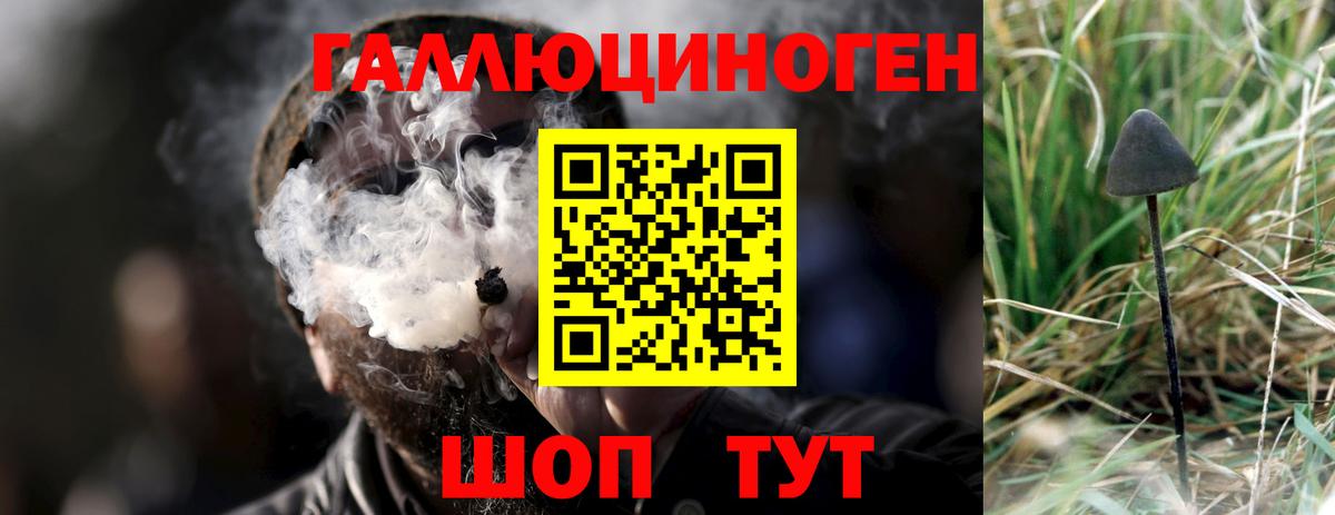 Псилоцибиновые грибы мухоморы Черногорск